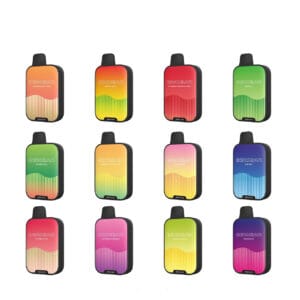 Innokin InnoBar Disposable Vape (7000 Puffs)