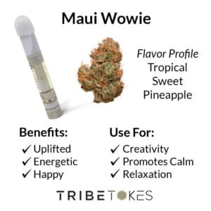 Maui Wowie Strain (Sativa)