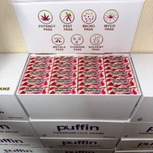 Puffin 2g Disposable